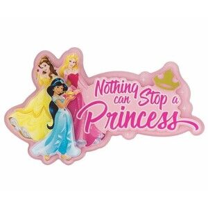 Disney Parks Nothing Can Stop a Princess 3D Magnet Belle Jasmine Aurora Pink NEW